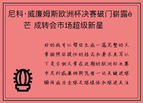 尼科·威廉姆斯欧洲杯决赛破门崭露锋芒 成转会市场超级新星